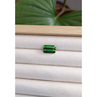 5.36 Ct. Tourmaline from Mozambique Life Style