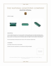 6.27 Ct. Tourmaline from Mozambique Appraisal