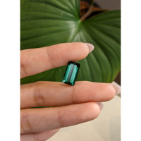 6.27 Ct. Tourmaline from Mozambique Life Style