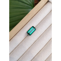 6.27 Ct. Tourmaline from Mozambique Life Style