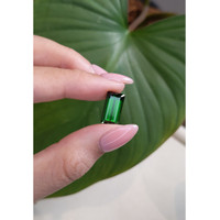6.38 Ct. Tourmaline from Mozambique Life Style