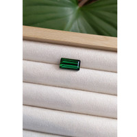 6.38 Ct. Tourmaline from Mozambique Life Style