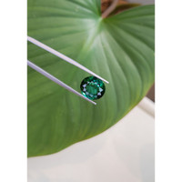 7.97 Ct. Tourmaline from Mozambique Life Style