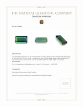 14.80 Ct. Tourmaline from Mozambique Appraisal