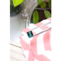 4.66 Ct. Tourmaline from Mozambique Life Style