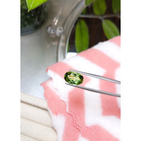 5.00 Ct. Tourmaline from Mozambique Life Style