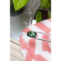 8.51 Ct. Tourmaline from Mozambique Life Style