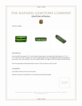 9.21 Ct. Green Tourmaline from Mozambique Appraisal