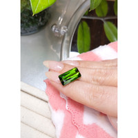 9.21 Ct. Tourmaline from Mozambique Life Style