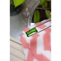 9.21 Ct. Tourmaline from Mozambique Life Style