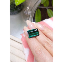 12.93 Ct. Tourmaline from Mozambique Life Style