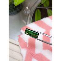 8.46 Ct. Tourmaline from Mozambique Life Style