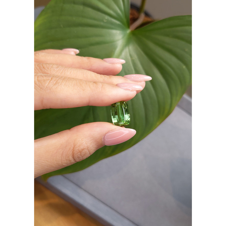 7.91 Ct. Tourmaline from Mozambique