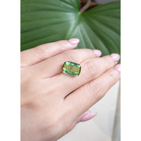 7.91 Ct. Tourmaline from Mozambique Life Style