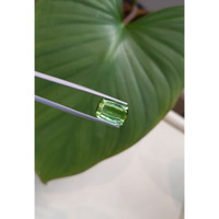 7.91 Ct. Tourmaline from Mozambique Life Style