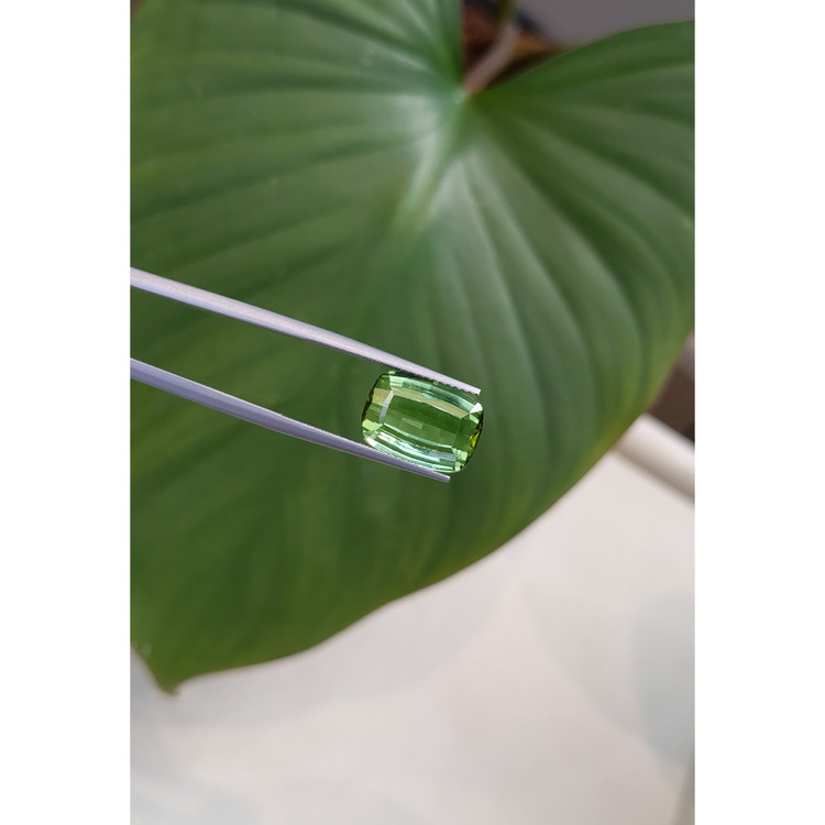 7.91 Ct. Tourmaline from Mozambique