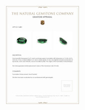 4.47 Ct. Green Tourmaline from Mozambique Appraisal