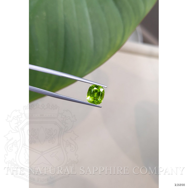 2.99 Ct. Peridot from Pakistan
