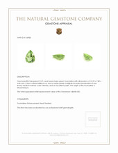 2.29 Ct. Tourmaline from Mozambique Appraisal