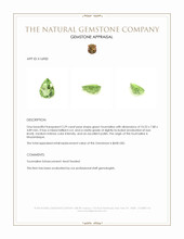 2.29 Ct. Tourmaline from Mozambique Appraisal