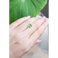 2.29 Ct. Tourmaline from Mozambique Life Style