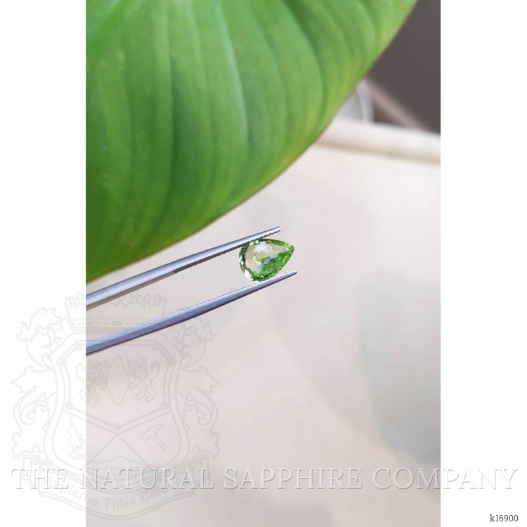 2.29 Ct. Tourmaline from Mozambique