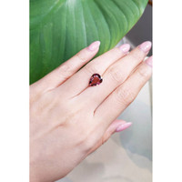 2.53 Ct. Tourmaline from Mozambique Life Style