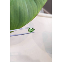 2.41 Ct. Tourmaline from Mozambique Life Style