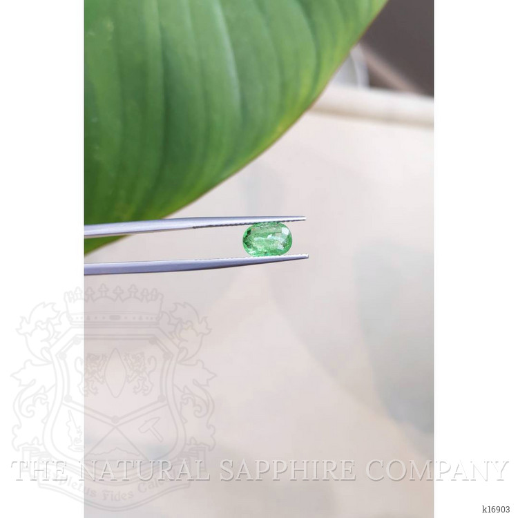 1.40 Ct. Paraiba Tourmaline from Nigeria
