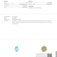 3.71 Ct. Paraiba Tourmaline from Mozambique Scan Report