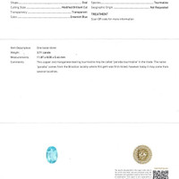 3.71 Ct. Greenish Blue Paraiba Tourmaline from Mozambique Scan Report