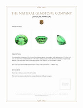 23.61 Ct. Tourmaline from Brazil Appraisal