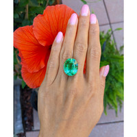 23.61 Ct. Tourmaline from Brazil Life Style
