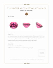 9.84 Ct. Tourmaline from Brazil Appraisal