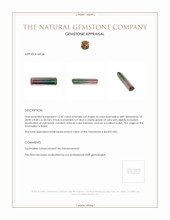 15.45 Ct. Watermelon Tourmaline from Brazil Appraisal