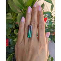 15.45 Ct. Tourmaline from Brazil Life Style