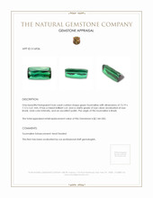 4.66 Ct. Green Tourmaline from Brazil Appraisal