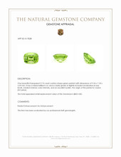 2.74 Ct. Peridot from Ceylon (Sri Lanka) Appraisal