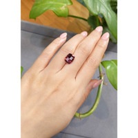 5.09 Ct. Garnet from Tanzania Life Style