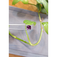 4.77 Ct. Garnet from Tanzania Life Style