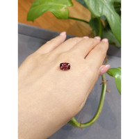 2.77 Ct. Garnet from Tanzania Life Style