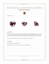 2.61 Ct. Purplish Red Garnet from Tanzania Appraisal