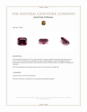 3.25 Ct. Garnet from Tanzania Appraisal