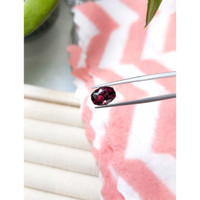 3.54 Ct. Garnet from Tanzania Life Style