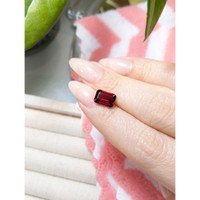 2.98 Ct. Garnet from Tanzania Life Style