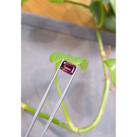 2.60 Ct. Spinel from Burma (Myanmar) Life Style