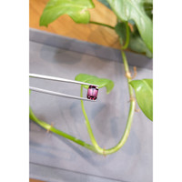 2.60 Ct. Spinel from Burma (Myanmar) Life Style