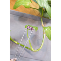 5.78 Ct. Spinel from Burma (Myanmar) Life Style