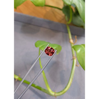 2.66 Ct. Spinel from Burma (Myanmar) Life Style