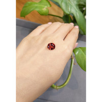 2.66 Ct. Spinel from Burma (Myanmar) Life Style